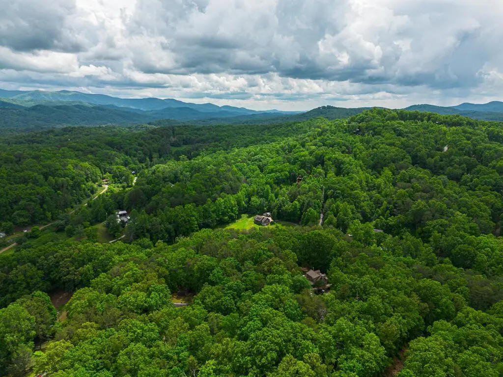 Tract 1 Century Lane, Blue Ridge, GA 30513 - #1