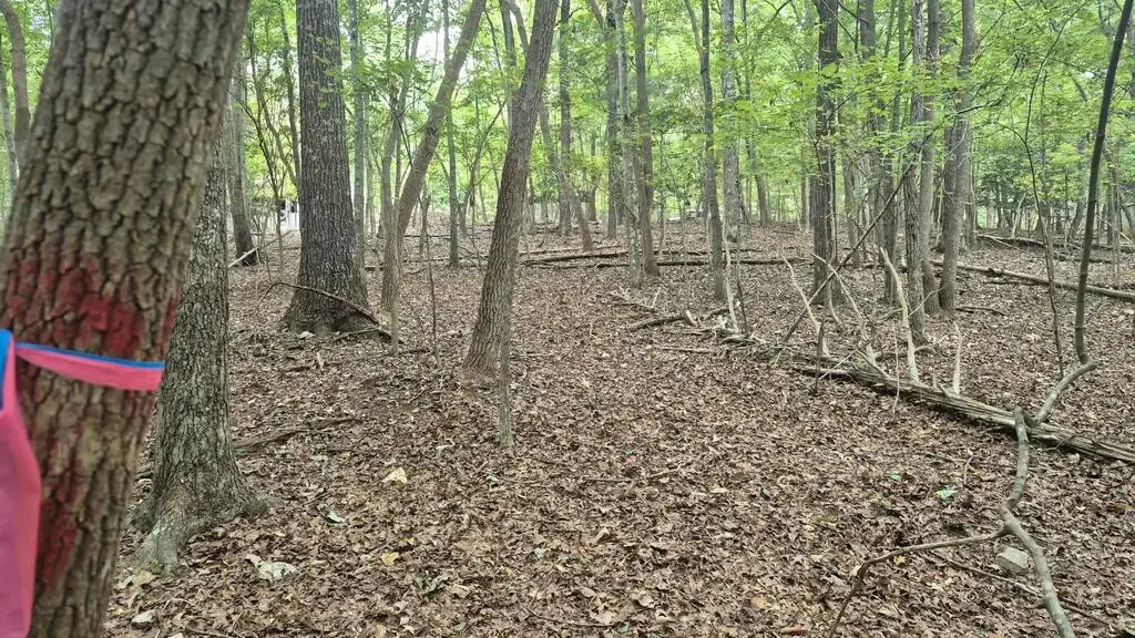 .57 Ac. Villa Drive, Ellijay, GA 30540 - #1