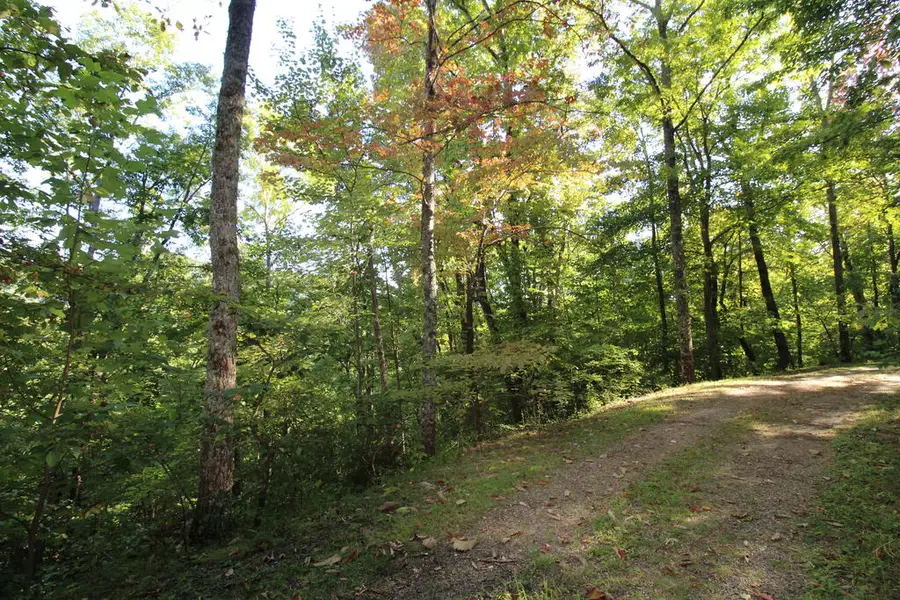 Lot 20 U Been Around The Circle, Hiawassee, GA 28904 - #3