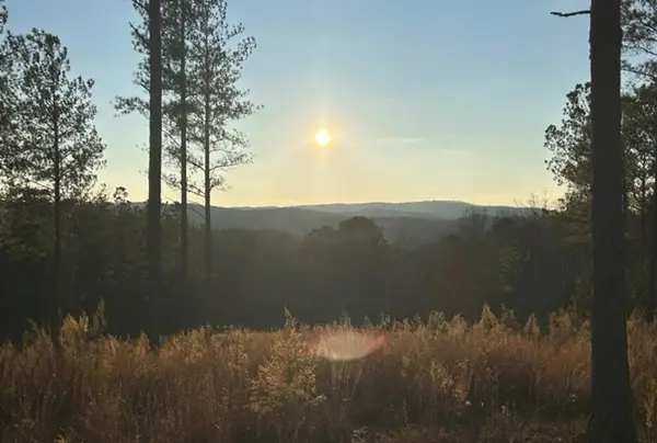 Lot 80 Seven Mile Creek Road, Talking Rock, GA 30175