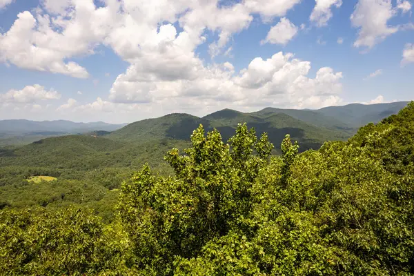 LT M177 Walnut Ridge, Ellijay, GA 30536