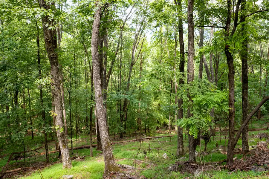 LT M177 Walnut Ridge, Ellijay, GA 30536 - #2
