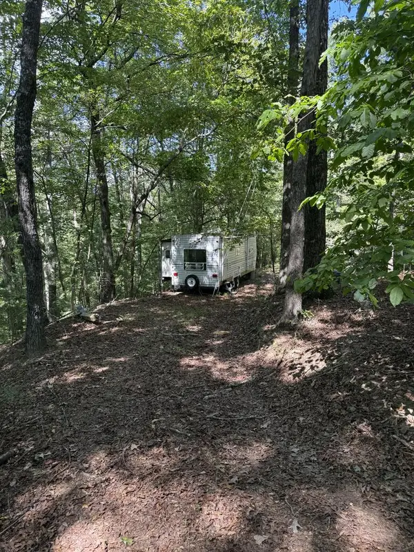 TR 13 Southern Pines Drive, Ellijay, GA 30540