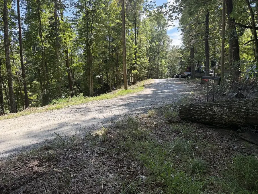 TR 13 Southern Pines Drive, Ellijay, GA 30540 - #2