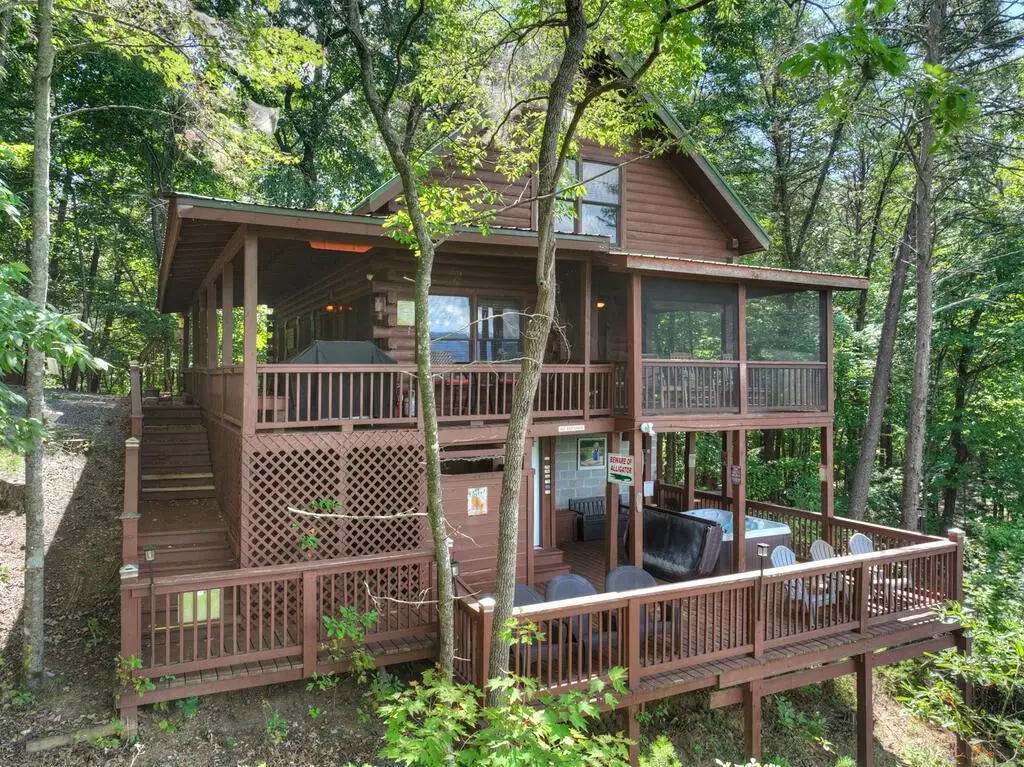 606 Cohutta Mountain Road, Cherry Log, GA 30522 - #1