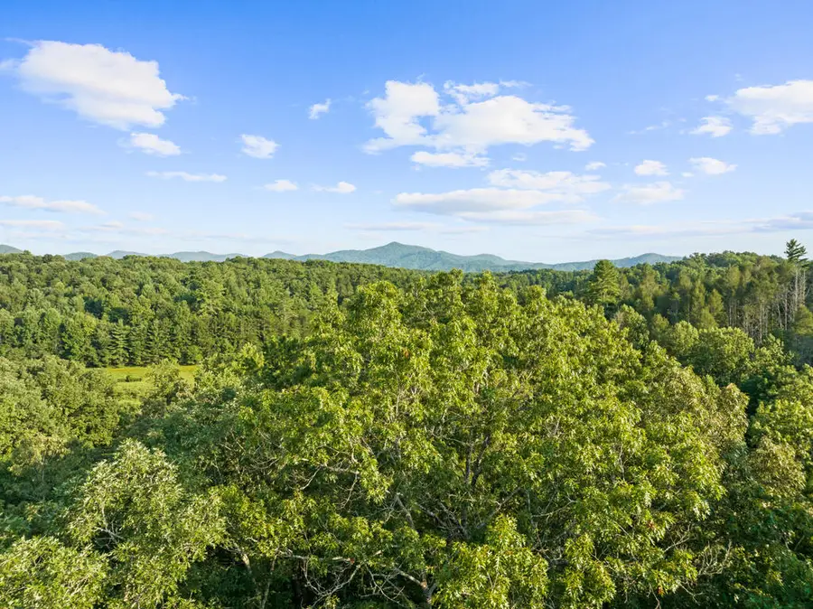 lot 6 Timber Lane Court, Turtletown, TN 37391 - #3