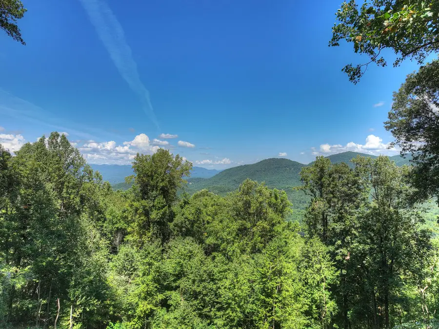 917 Walnut Ridge, Ellijay, GA 30536 - #2