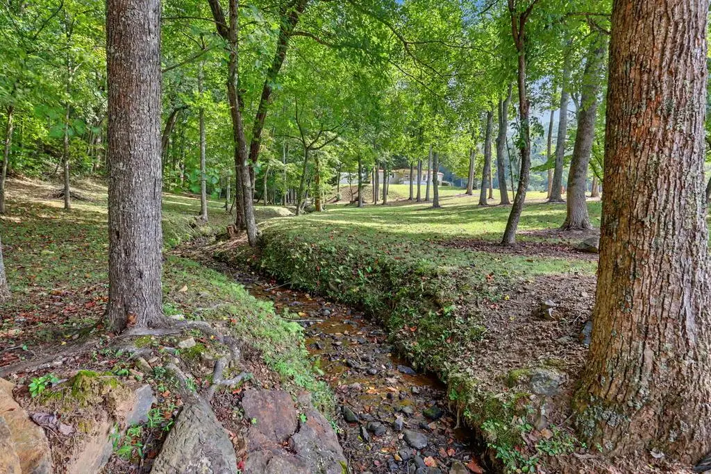 620 Hamilton Drive, Hiawassee, GA 30546 - #1