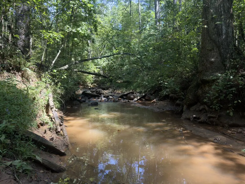 LT 32 Mission Hill Rd, Ellijay, GA 30540 - #1