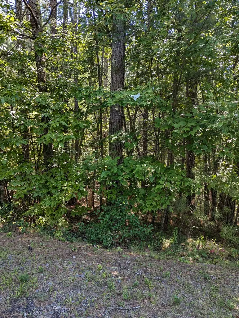 168 Highland Woods Road, Copperhill, TN 37317 - #2