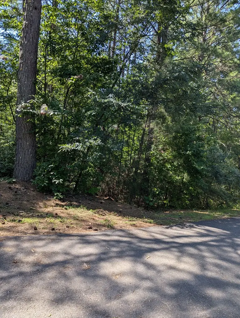 168 Highland Woods Road, Copperhill, TN 37317 - #3