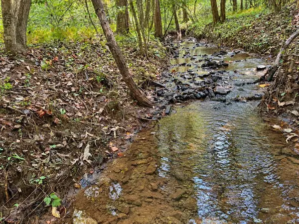 Lot 6 Mountain Brooks Road, Blue Ridge, GA 30513