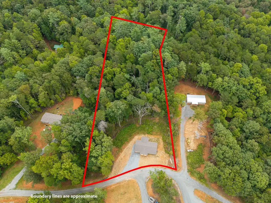 163 Tuscany Drive, Ellijay, GA 30540 - #3