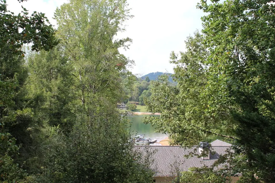310 Licklog Court, Hayesville, NC 28904 - #3