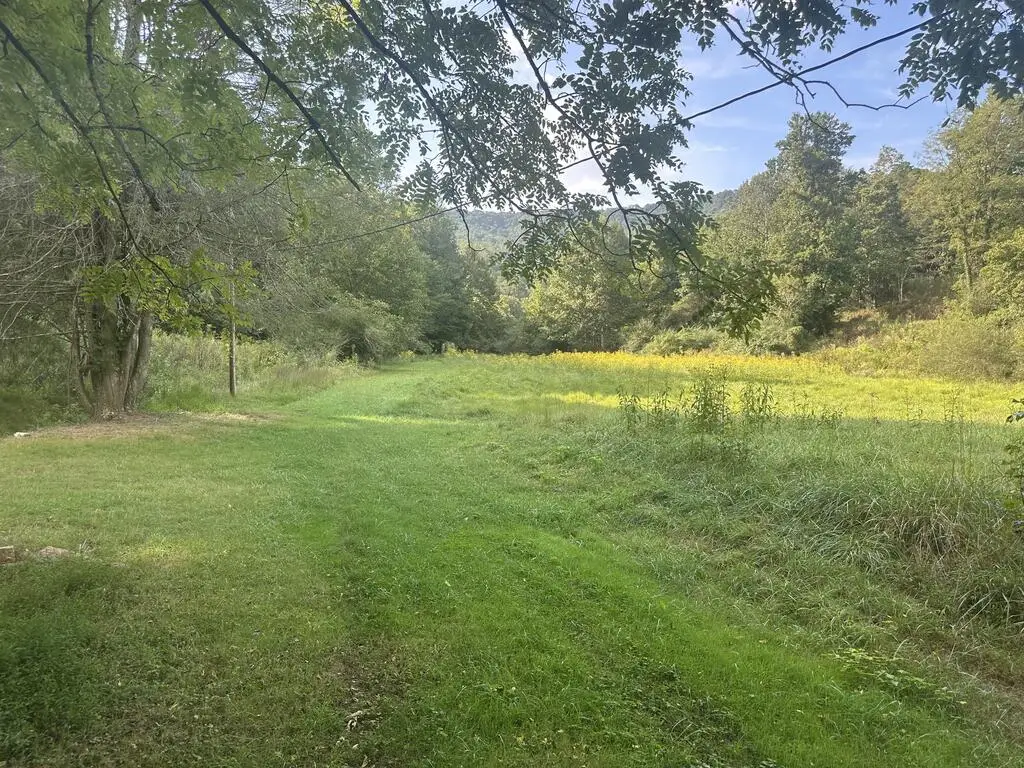 191 NW Roach Cove Road, Hayesville, NC 28904 - #1