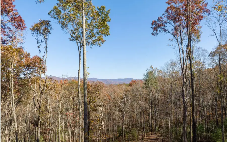 19R Settlement Trail, Ellijay, GA 30536 - #3