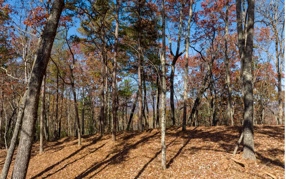 Lot 41 Preserve Trail, Ellijay, GA 30536 - #1