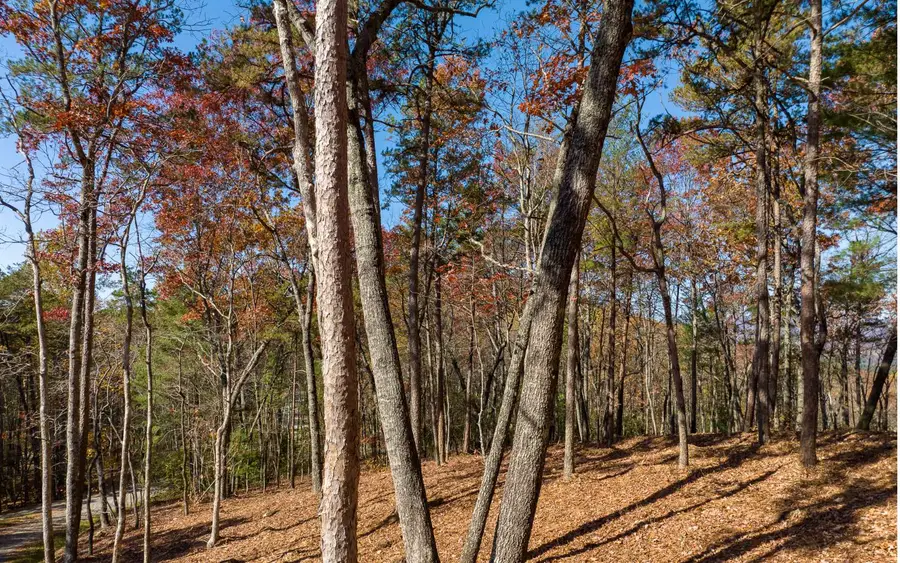 Lot 41 Preserve Trail, Ellijay, GA 30536 - #2