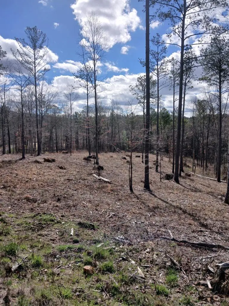 Lot 337 Timber Creek Trail, Talking Rock, GA 30175 - #2