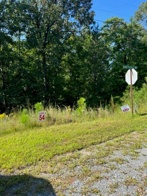 LT 54 Honeysuckle Way, Ellijay, GA 30540 - #1