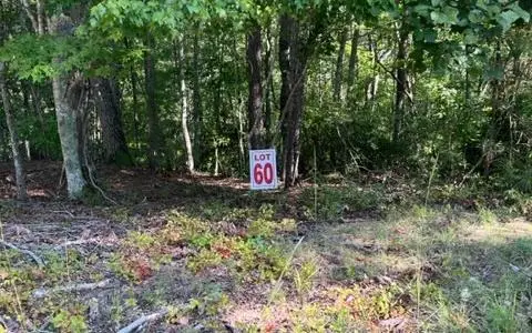 LT 60 Honeysuckle Way, Ellijay, GA 30540 - #1