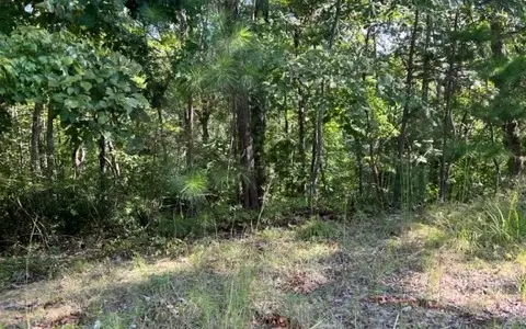 LT 60 Honeysuckle Way, Ellijay, GA 30540 - #2