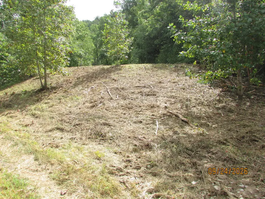 0 Cowart Road, Hayesville, NC 28904 - #3