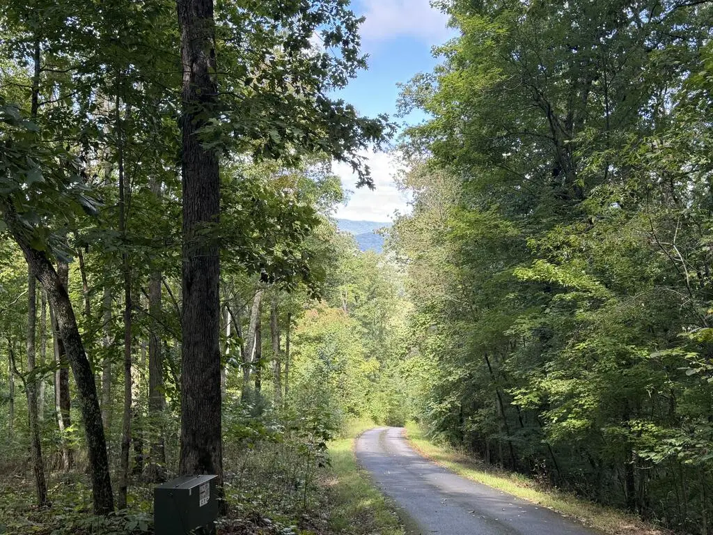 lot 33 Falcon Overlook, Hayesville, NC 20894 - #1