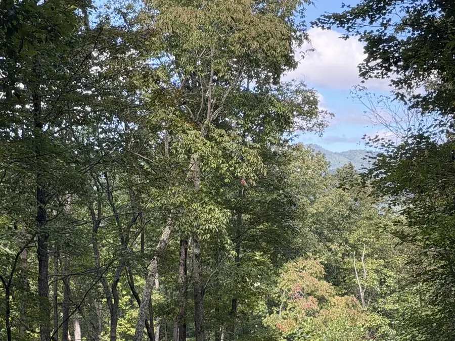 lot 33 Falcon Overlook, Hayesville, NC 20894 - #2