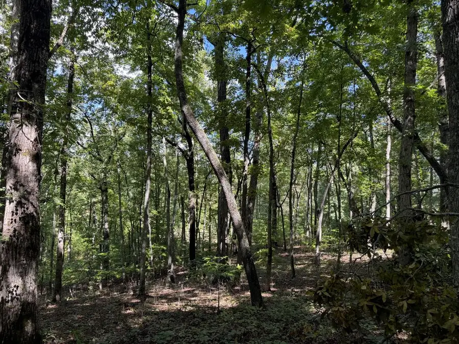 lot 33 Falcon Overlook, Hayesville, NC 20894 - #3