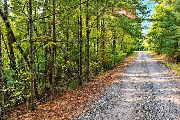 Lot 12 Hillbilly Holler, Blue Ridge, GA 30513