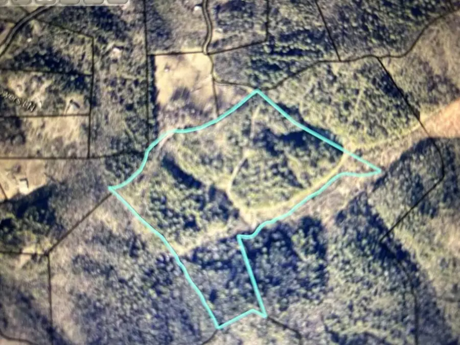 40 Acre Valley Lake Road, Mineral Bluff, GA 30559 - #2