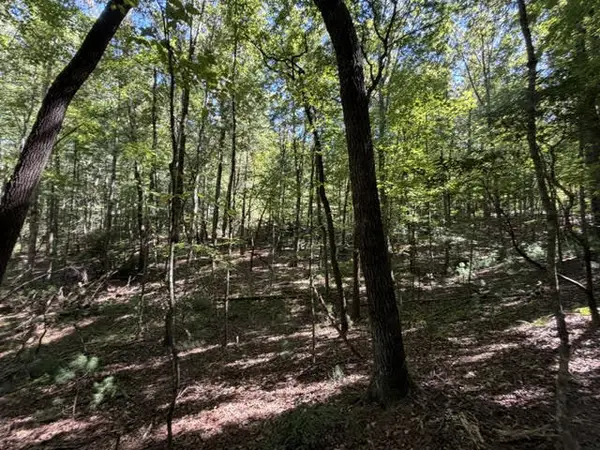 0 Seneca Drive, Ellijay, GA 30540