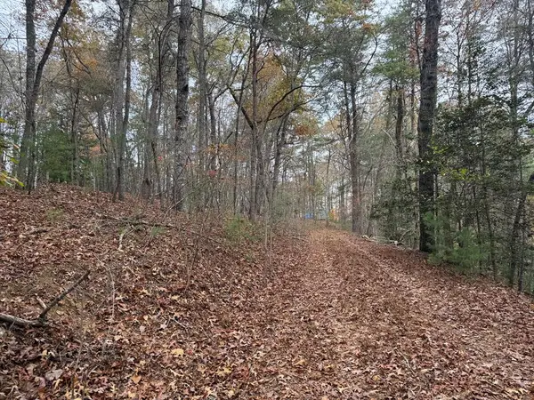 9 Paradise Park Road, Brasstown, NC 28902