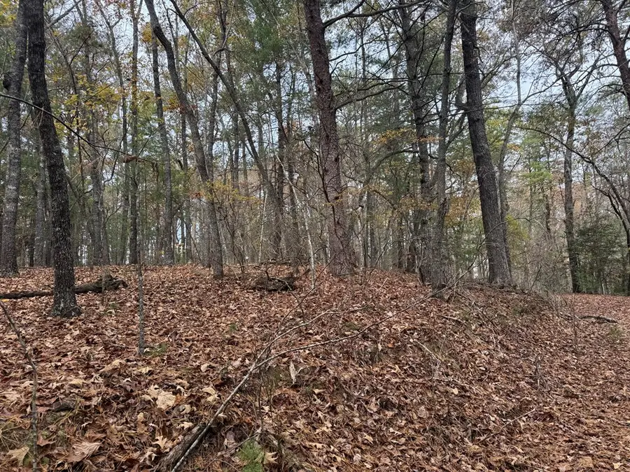 9 Paradise Park Road, Brasstown, NC 28902 - #3