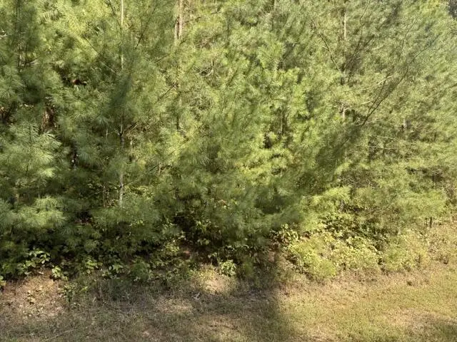 Lot 224 Rushing Water Drive, Blairsville, GA 30512 - #1