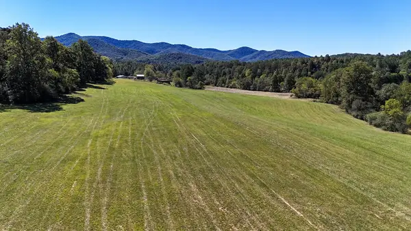00 W Gum Log Road, Warne, NC 28909