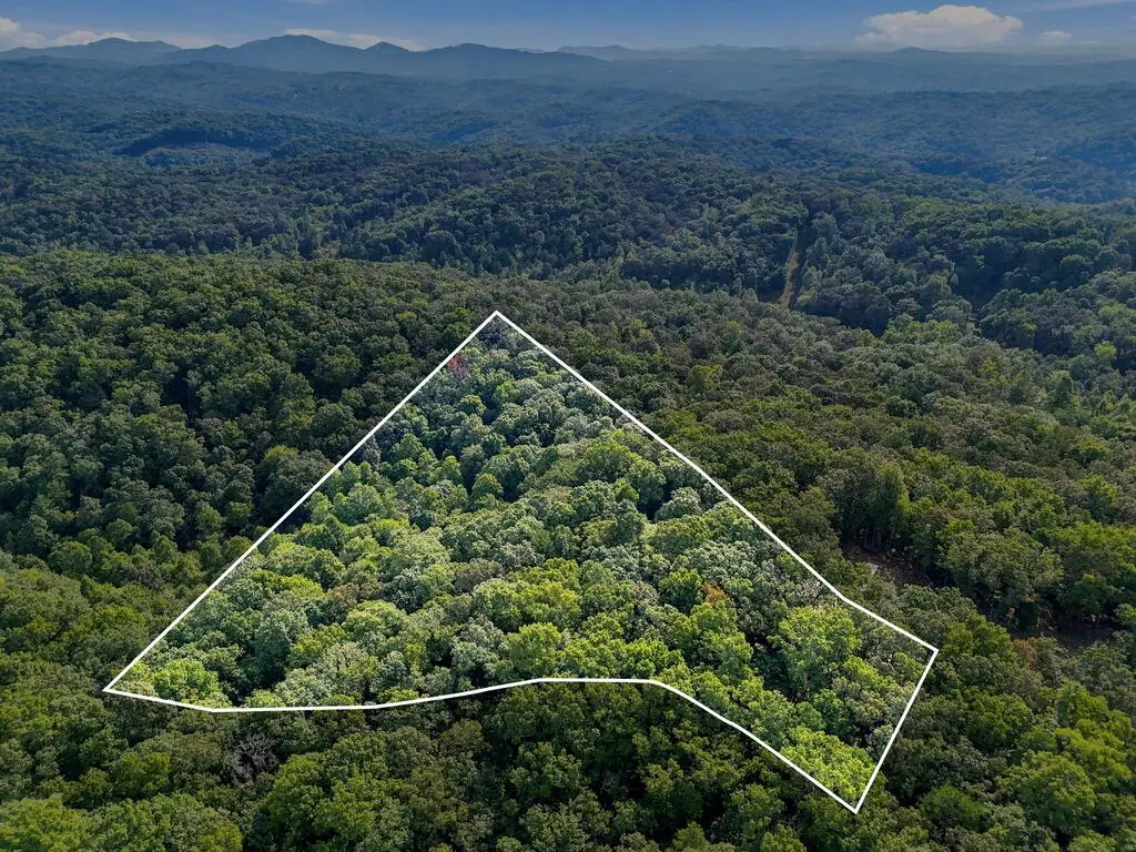 0 Timberlake Road, Blue Ridge, GA 30513 - #1