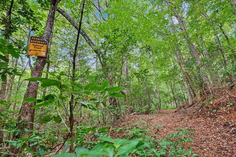 6.88 ac Fisher Field Road, Blairsville, GA 30512 - #3