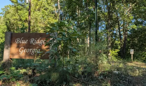 Lot 1 White Oak Circle, Blue Ridge, GA 30513
