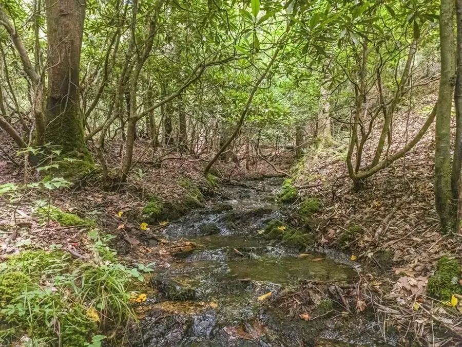 83 Acres Cutcane Road, Mineral Bluff, GA 30559 - #2