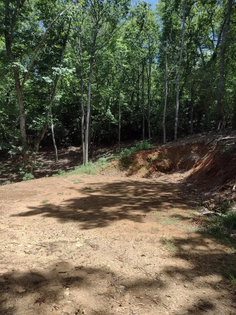 0 Radiant Cove, Brasstown, NC 28902 - #3