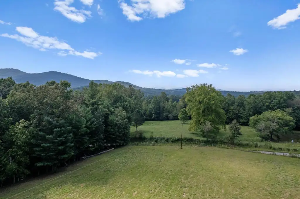 00 Ivylog Gap Rd, Ivylog, GA 35012 - #1