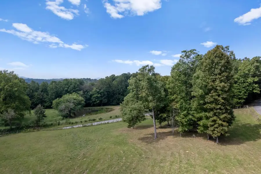 00 Ivylog Gap Rd, Ivylog, GA 35012 - #2