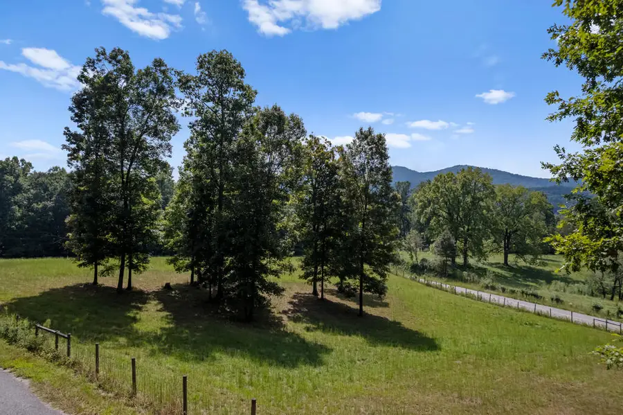 00 Ivylog Gap Rd, Ivylog, GA 35012 - #3