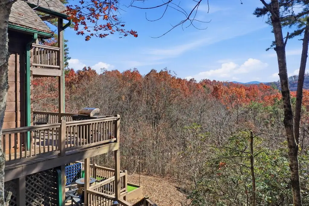 31 The Kings Court, Cherry Log, GA 30522 - #1