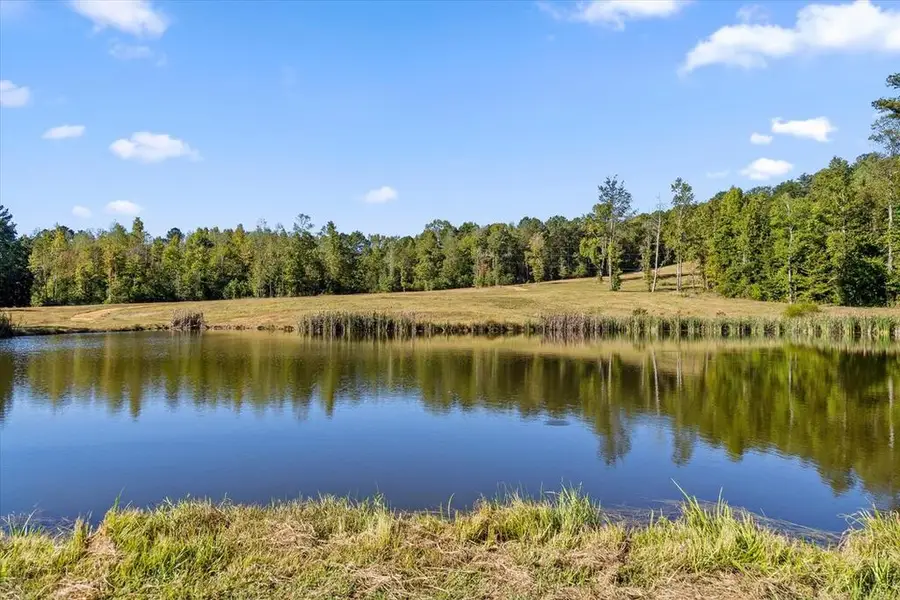 132 Turvey Nichols Road, Cisco, GA 30708 - #3