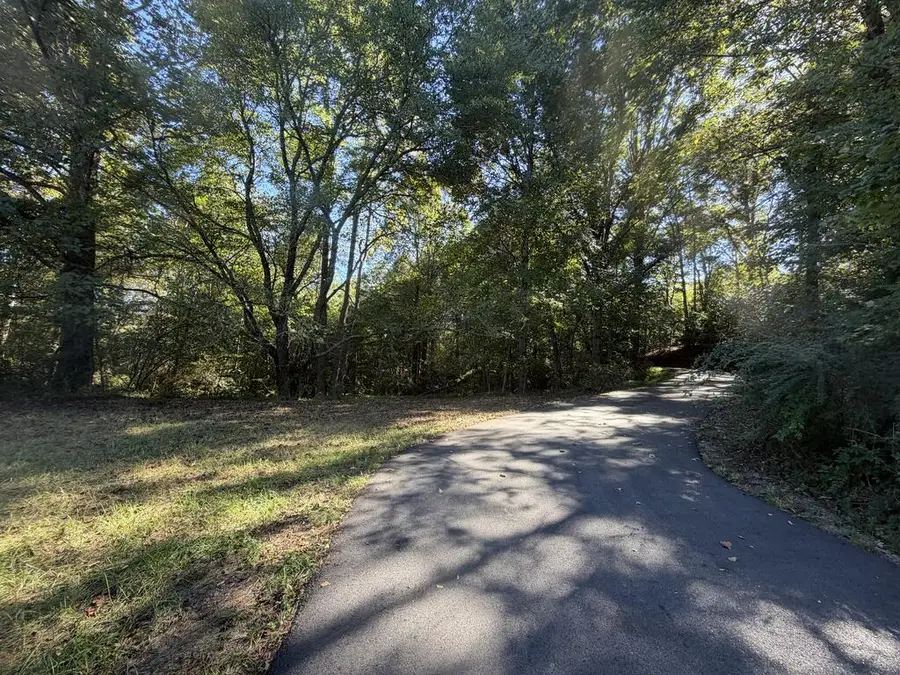 11.91 ac Hardscrabble Road, Mineral Bluff, GA 30559 - #3