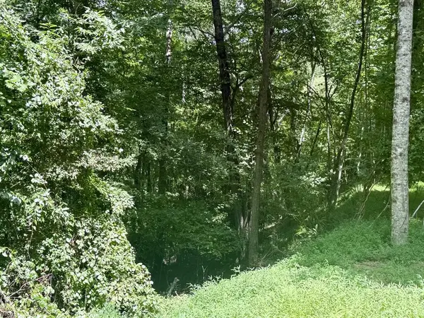Lot 6 Wild Laurel, Brasstown, NC 28902