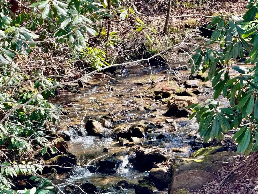 Lot 7 Wild Laurel, Brasstown, NC 28902 - #3